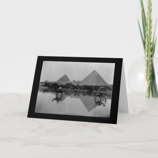 Kamele und Pyramiden in Ägypten 1899 Karte (Vorderseite)
