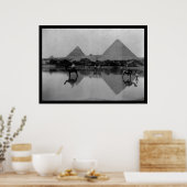 Kamele und Pyramiden in Ägypten 1899 Poster (Küche)