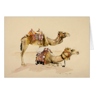 Kamele von PETRA 2007