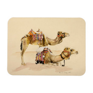 Kamele von PETRA 2007 Magnet