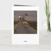 Kamele wandern zu wunderland, Geburtstag Karte (Rückseite)