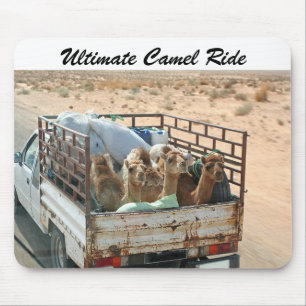 Kamele, welche die Brise im Sahara Mousepad