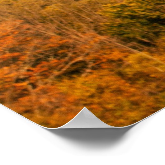 Kamelen, Vermont Poster (Ecke)