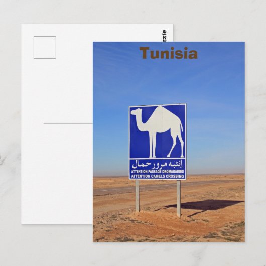 Kamelen - Zeichen, Tunesien Postkarte (Vorne/Hinten)