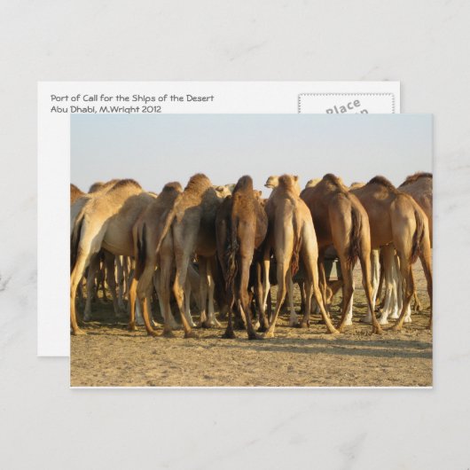 Kamelentreffen Postkarte (Vorne/Hinten)
