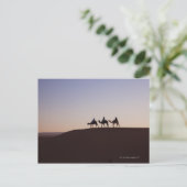 Kamelfahrer, Marokko Postkarte (Stehend Vorderseite)