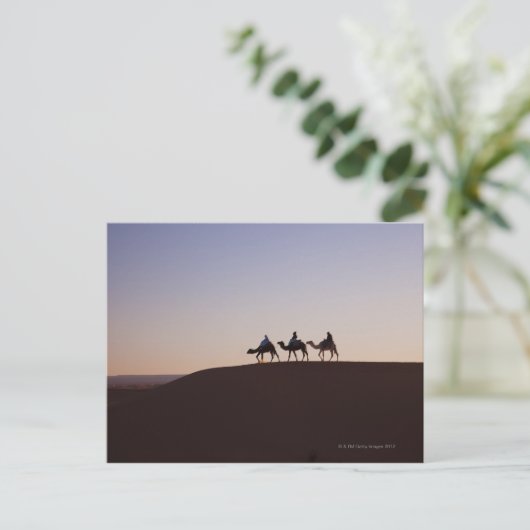 Kamelfahrer, Marokko Postkarte (Stehend Vorderseite)
