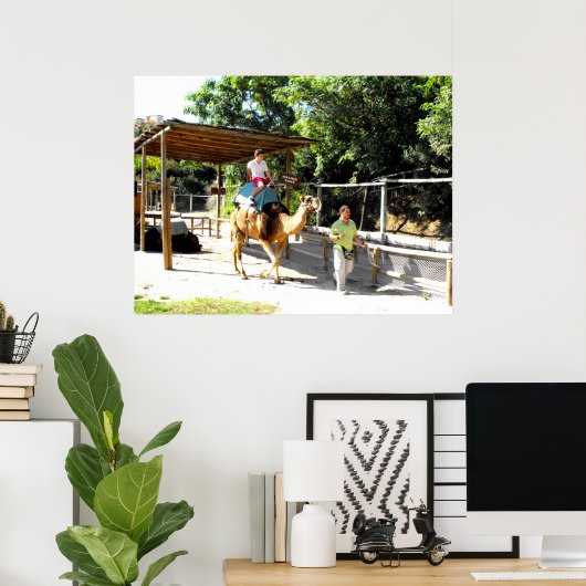 Kamelfahrt Poster (Heimbüro)