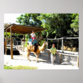 Kamelfahrt Poster (Vorne)