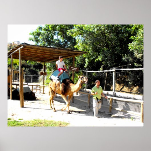 Kamelfahrt Poster (Vorne)