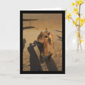 Kamelfotoshooting Karte (Gelbe Blume)