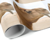 Kamelgesicht Geschenkpapier (Rolleneckpunkt)