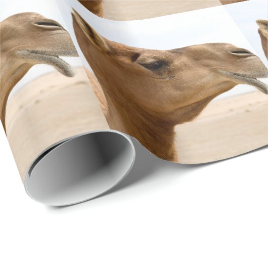 Kamelgesicht Geschenkpapier (Rolleneckpunkt)