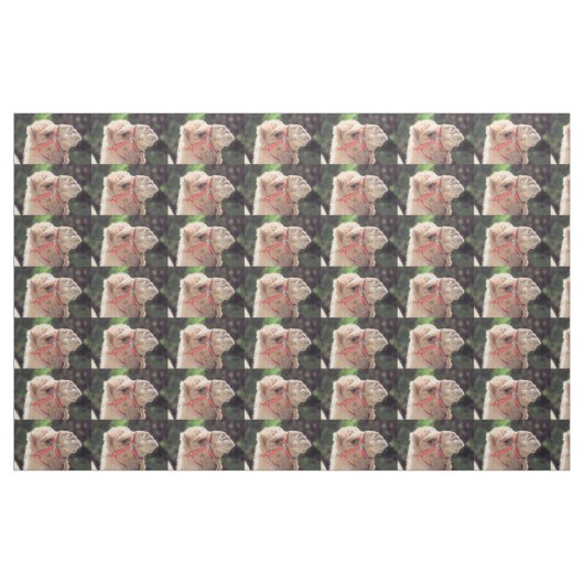 Kamelgewebe Stoff (Fat Quarter (45,7 x 55,9 cm))