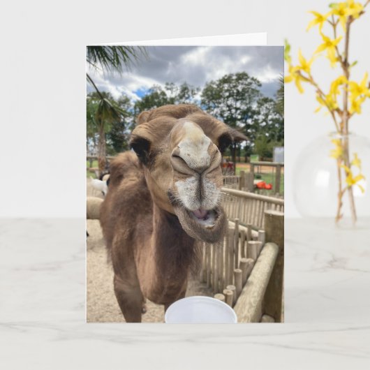 Kamelgrüßkarte (Hallo dort) Karte (Gelbe Blume)