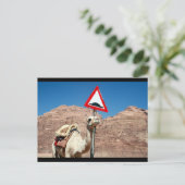 Kamelhöckgrenze Postkarte (Stehend Vorderseite)