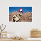 Kamelhöschen Poster (Küche)