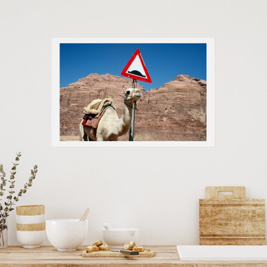 Kamelhöschen Poster (Küche)