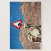Kamelhöschen Puzzle (Vertikal)