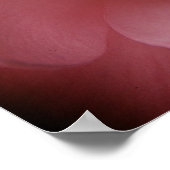 Kamelias 4 poster (Ecke)