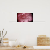 Kamelias 4 poster (Küche)