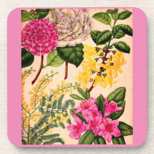 Kamelie, Forsythia, Rhododendron und Akazie Untersetzer
