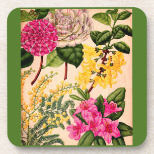 Kamelie, Forsythie, Rhododendron und Akazie Untersetzer
