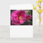 Kamelie, Karte (Gelbe Blume)