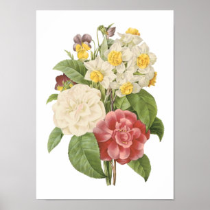 Kamelie, Narzisse, Panik von Redouté Poster