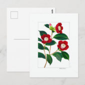 Kamelie-Platte: Bokuhan Postkarte (Vorne/Hinten)