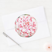 Kamelie Runder Aufkleber (Umschlag)