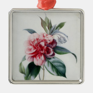 Kamelie Silbernes Ornament
