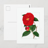 Kamelie Teller: Benikirin Postkarte (Vorne/Hinten)