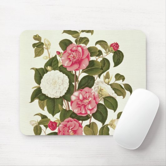 Kamelie von "einer Monographie auf den Klassen Mousepad (Mit Mouse)