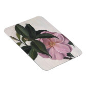 Kamelien 1998 magnet (Rechte Seite)