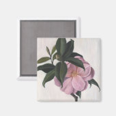 Kamelien 1998 magnet (Vorderseite/Rückseite)