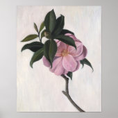 Kamelien 1998 poster (Vorne)