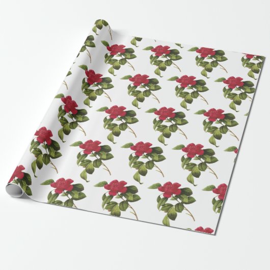 Kamelien-Blumenmuster Geschenkpapier (Ungerollt)