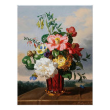 Kamelien für Ihre Augen