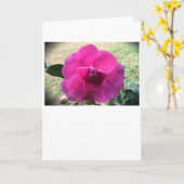 Kamelien, Karte (Gelbe Blume)