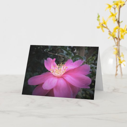 Kamelien, Karte (Gelbe Blume)