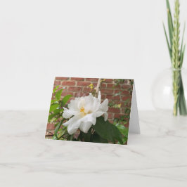 Kamelien-Karte (leer) Feiertagskarte