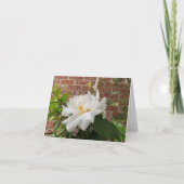 Kamelien-Karte (leer) Feiertagskarte (Vorderseite)