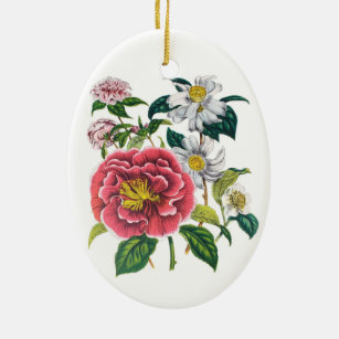 Die Muster Zeichnen Ornamente Zazzle De