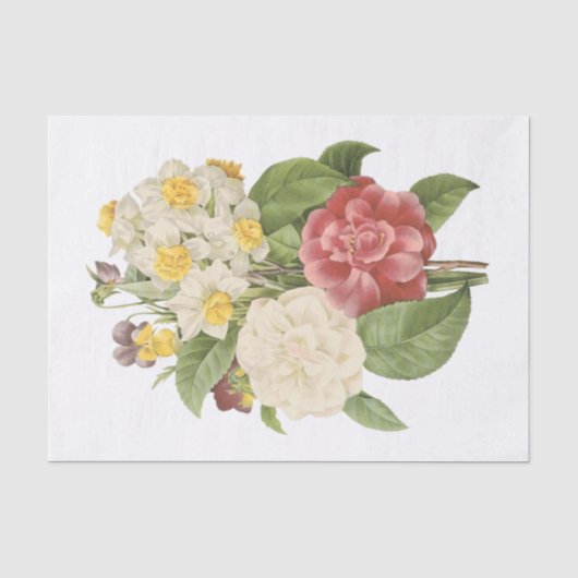 Kamelien, Narcissus, Pansy Seidenpapier (Vorderseite)