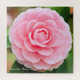 Kamelien: Otome-Tsubaki [Square Jigsaw puzzle] Puzzle