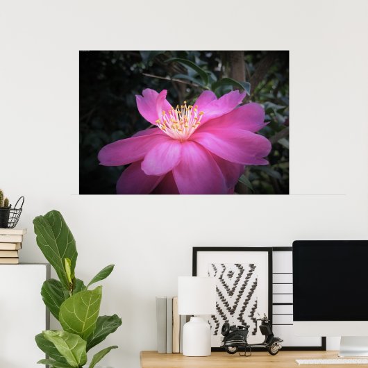 Kamelien, Poster (Heimbüro)