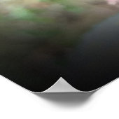 Kamelien, Poster (Ecke)