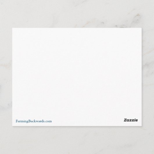 Kamelien Postkarte (Rückseite)