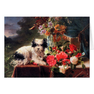 Kamelien und Terrier